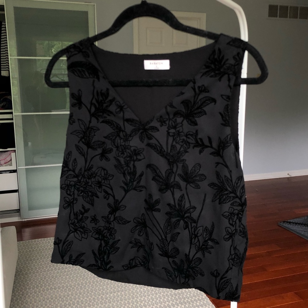 Aritzia Babaton Murphy V Neck Crop Tank